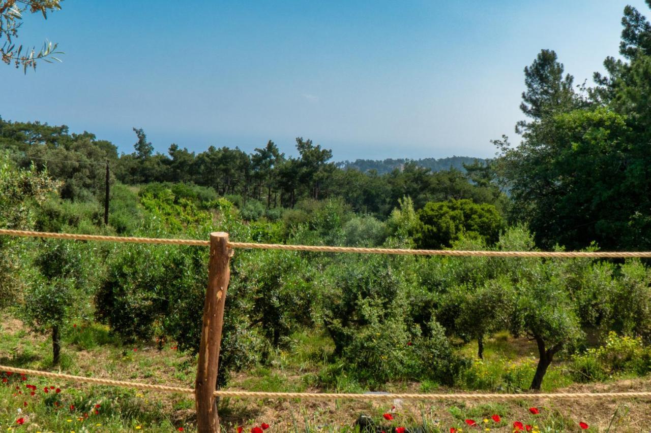 Luxury Dome Tents Ikaria Ap'Esso2 Raches  Dış mekan fotoğraf